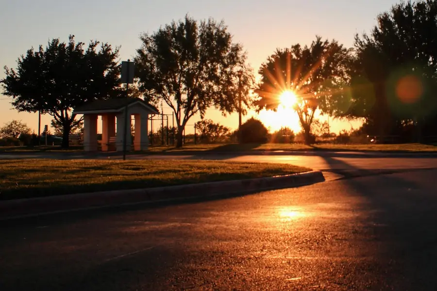 Chụp cận cảnh lens Meike 25mm