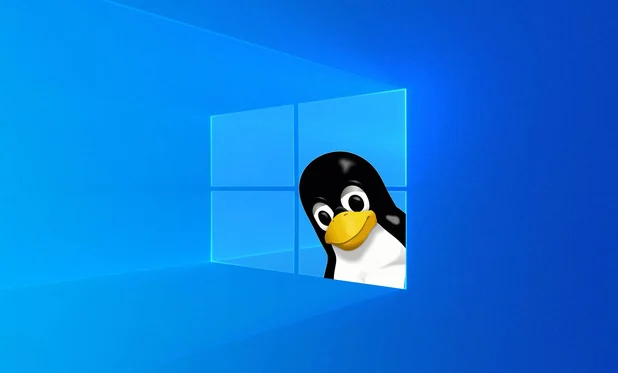 WSL2 - Code linux trên windows - Lạc vào đồng cỏ xanh